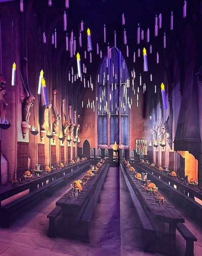 Harry Potter themed backdrop for hire | Event hire London by Rock the Day | Party hire Essex | Bespoke parties by Rock the Day 