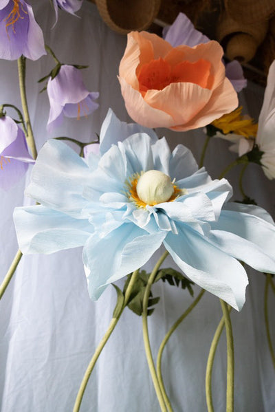 Giant Flower Backdrop Magic: A Practical Guide to Themed Events (Part 1)