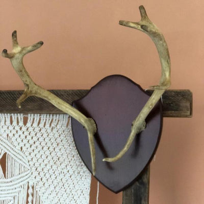 Large antlers for hire by Rock the Day Essex-prop hire, wedding hire, party props